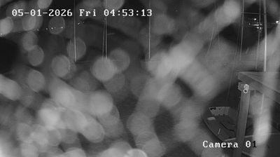 Preview delle webcam di Marina di Campo