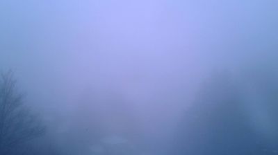 immagine della webcam nei dintorni di Campertogno: webcam Rosazza