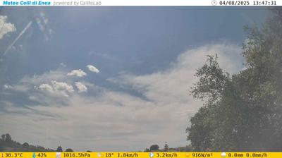 immagine della webcam nei dintorni di Castel Porziano: webcam Pomezia