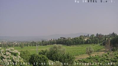 immagine della webcam nei dintorni di Cortona: webcam Arezzo