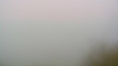 immagine della webcam nei dintorni di Pontassieve: webcam Sieci