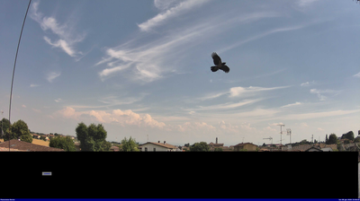 immagine della webcam nei dintorni di Zinasco: webcam Dorno