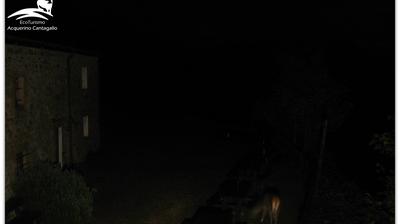 immagine della webcam nei dintorni di Castiglione dei Pepoli: webcam Cantagallo