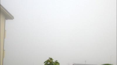 immagine della webcam nei dintorni di Monsummano Terme: webcam Collodi