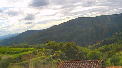 immagine della webcam nei dintorni di Pelago: webcam Montebonello