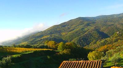 immagine della webcam nei dintorni di Incisa in Val d'Arno: webcam Montebonello