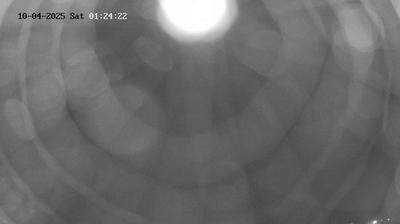 immagine della webcam nei dintorni di Villar Dora: webcam Piossasco