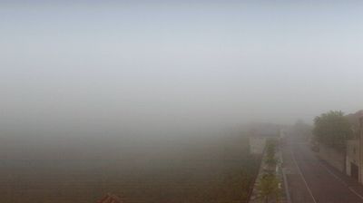 immagine della webcam nei dintorni di Magliano Alfieri: webcam Albaretto della Torre