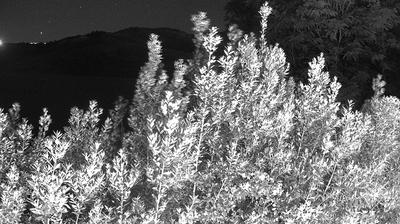 immagine della webcam nei dintorni di Zola Predosa: webcam Casalecchio di Reno