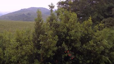 immagine della webcam nei dintorni di Castel del Rio: webcam Casalecchio di Reno