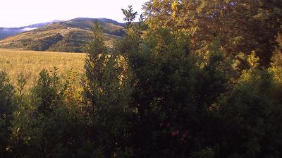 immagine della webcam nei dintorni di Castel del Rio: webcam Casalecchio di Reno