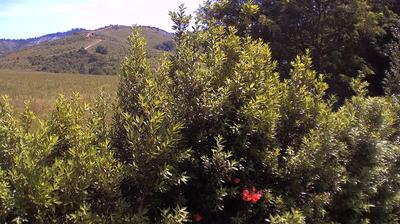 immagine della webcam nei dintorni di Castel del Rio: webcam Casalecchio di Reno