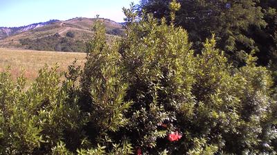 immagine della webcam nei dintorni di Ozzano dell'Emilia: webcam Casalecchio di Reno