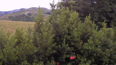 immagine della webcam nei dintorni di Marzabotto: webcam Casalecchio di Reno