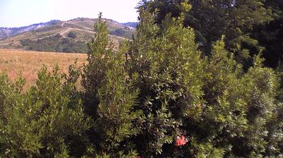immagine della webcam nei dintorni di Sasso Marconi: webcam Casalecchio di Reno