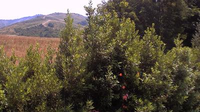 immagine della webcam nei dintorni di Savignano sul Panaro: webcam Casalecchio di Reno
