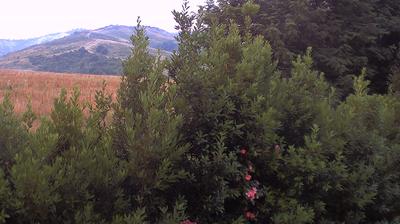 immagine della webcam nei dintorni di Savignano sul Panaro: webcam Casalecchio di Reno