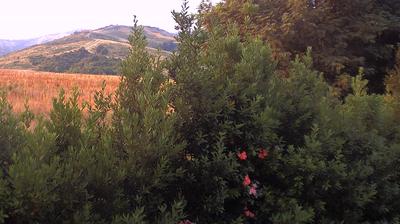 immagine della webcam nei dintorni di Savignano sul Panaro: webcam Casalecchio di Reno