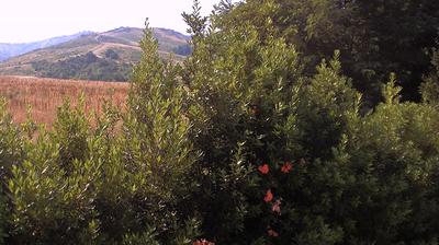 immagine della webcam nei dintorni di Castel del Rio: webcam Casalecchio di Reno