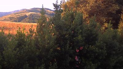 immagine della webcam nei dintorni di Vignola: webcam Casalecchio di Reno