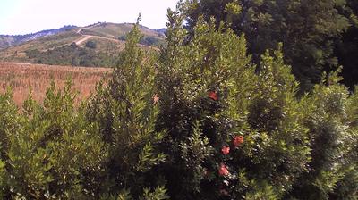 immagine della webcam nei dintorni di Castel Maggiore: webcam Casalecchio di Reno