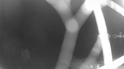 immagine della webcam nei dintorni di Palo: webcam Valleggia