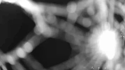 immagine della webcam nei dintorni di Altare: webcam Valleggia