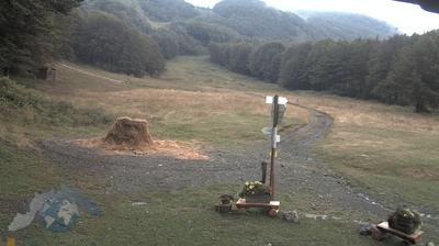 immagine della webcam nei dintorni di Borgo Val di Taro: webcam Santo Stefano d'Aveto