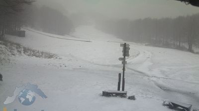 immagine della webcam nei dintorni di Bobbio: webcam Santo Stefano d'Aveto