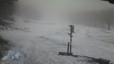 immagine della webcam nei dintorni di Carrega Ligure: webcam Santo Stefano d'Aveto