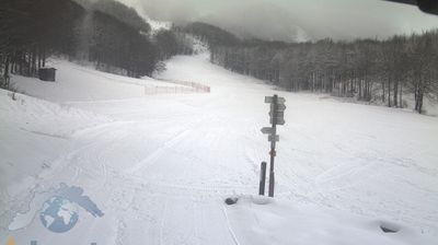 immagine della webcam nei dintorni di Bardi: webcam Santo Stefano d'Aveto