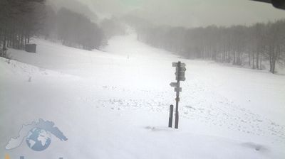 immagine della webcam nei dintorni di Favale di Malvaro: webcam Santo Stefano d'Aveto