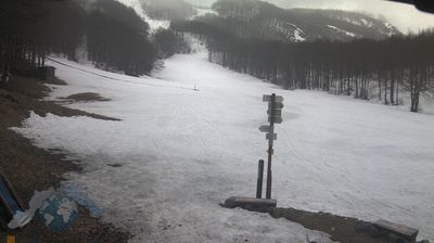 immagine della webcam nei dintorni di Passo del Penice: webcam Santo Stefano d'Aveto