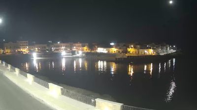 immagine della webcam nei dintorni di Lido Conchiglie: webcam Santa Maria al Bagno