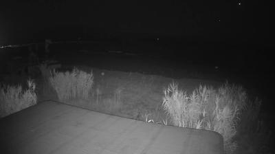 immagine della webcam nei dintorni di San Benedetto del Tronto: webcam Martinsicuro