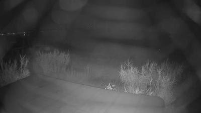 immagine della webcam nei dintorni di Teramo: webcam Martinsicuro