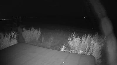 immagine della webcam nei dintorni di Tortoreto Lido: webcam Martinsicuro