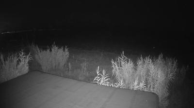 immagine della webcam nei dintorni di Cossignano: webcam Martinsicuro