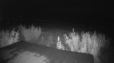 immagine della webcam nei dintorni di San Benedetto del Tronto: webcam Martinsicuro