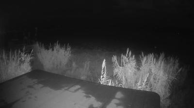 immagine della webcam nei dintorni di Porto d'Ascoli: webcam Martinsicuro