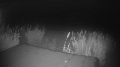 immagine della webcam nei dintorni di Ascoli Piceno: webcam Martinsicuro