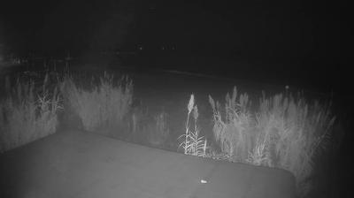 immagine della webcam nei dintorni di Giulianova: webcam Martinsicuro