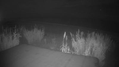 immagine della webcam nei dintorni di Tortoreto: webcam Martinsicuro