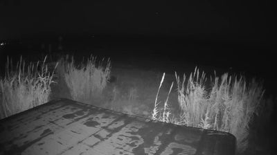 immagine della webcam nei dintorni di Roseto degli Abruzzi: webcam Martinsicuro