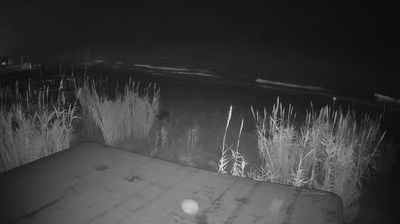 immagine della webcam nei dintorni di Tortoreto: webcam Martinsicuro