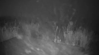 immagine della webcam nei dintorni di Roseto degli Abruzzi: webcam Martinsicuro