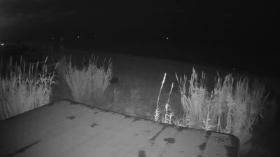 immagine della webcam nei dintorni di San Benedetto del Tronto: webcam Martinsicuro