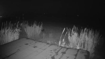 immagine della webcam nei dintorni di San Benedetto del Tronto: webcam Martinsicuro