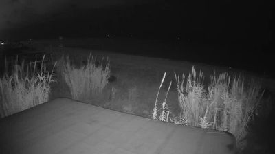 immagine della webcam nei dintorni di Cossignano: webcam Martinsicuro