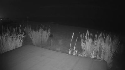 immagine della webcam nei dintorni di San Benedetto del Tronto: webcam Martinsicuro